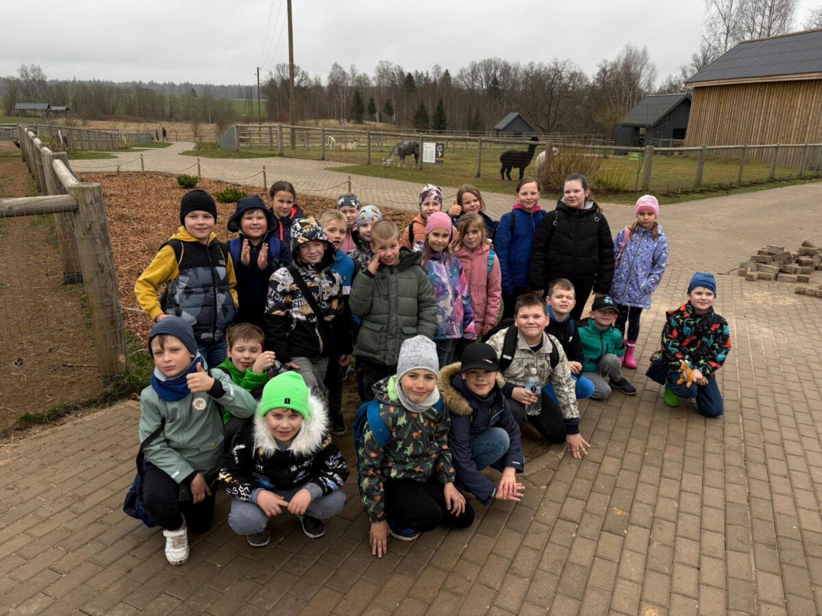 Liela bērnu grupa pozē fotogrāfijai alpakas fermā. Viņi stāv un tup uz bruģēta laukuma, fonā redzamas alpakas iežogojumos un koka ēkas.